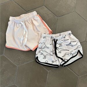 Cash and Co Dinosaur Print and Cream Swimsuits Set